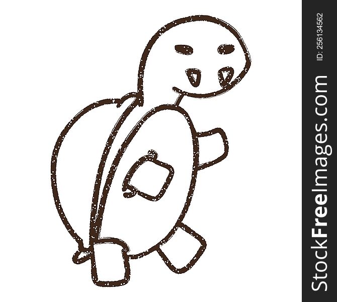 Tortoise Charcoal Drawing