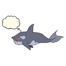 Cartoon Killer Whale With Thought Bubble Royalty Free Stock Image