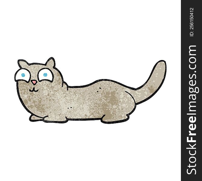 Texture Cartoon Cat