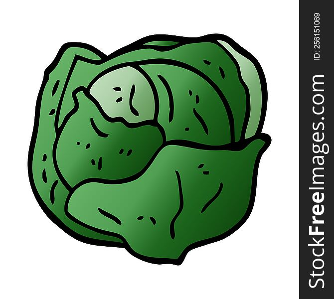 cartoon doodle cabbage