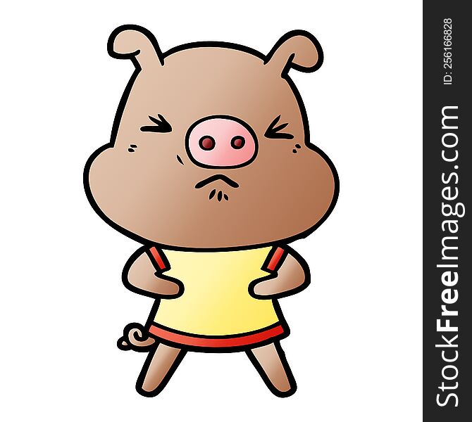 cartoon angry pig wearing tee shirt. cartoon angry pig wearing tee shirt