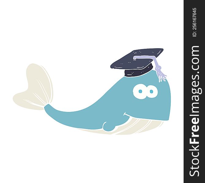 flat color illustration of whale graduate. flat color illustration of whale graduate