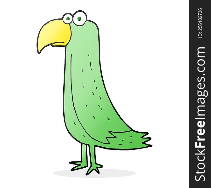 Cartoon Parrot