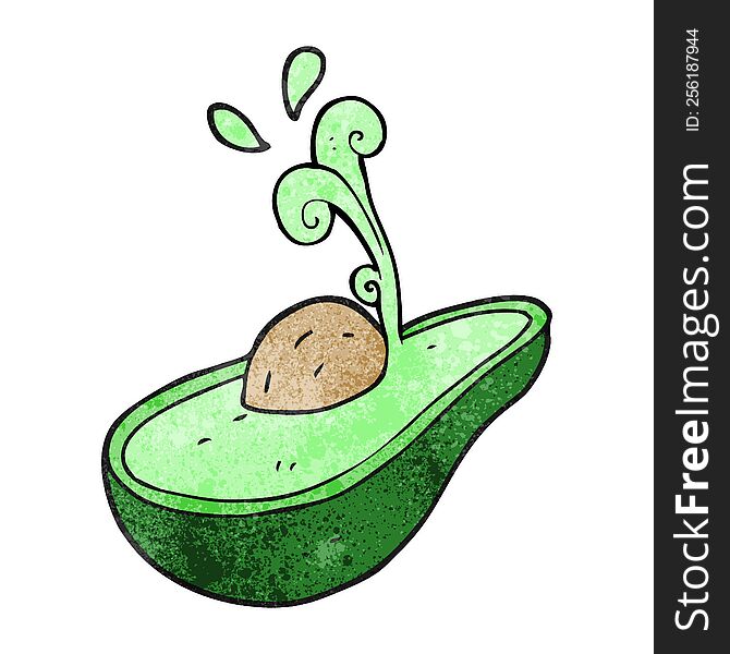Textured Cartoon Avocado