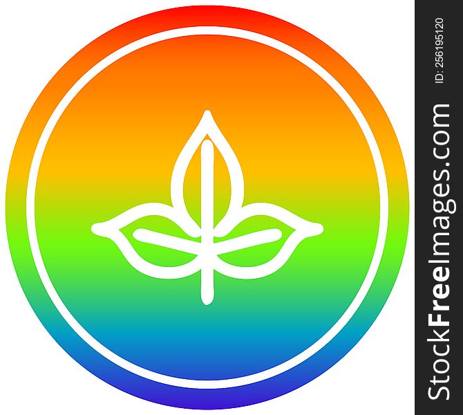 natural leaf circular icon with rainbow gradient finish. natural leaf circular icon with rainbow gradient finish