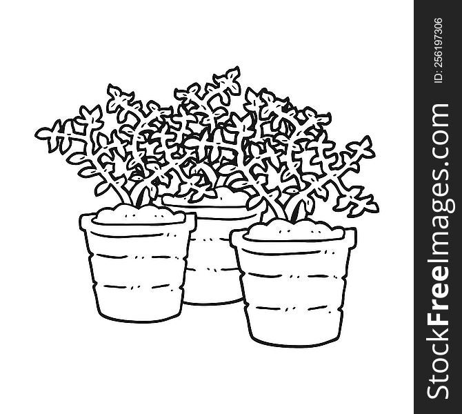 freehand drawn black and white cartoon potted plants