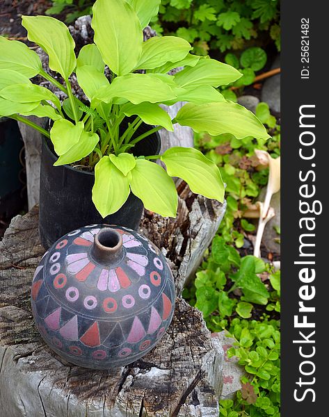 Decorative vase and plant on tree stump. Decorative vase and plant on tree stump