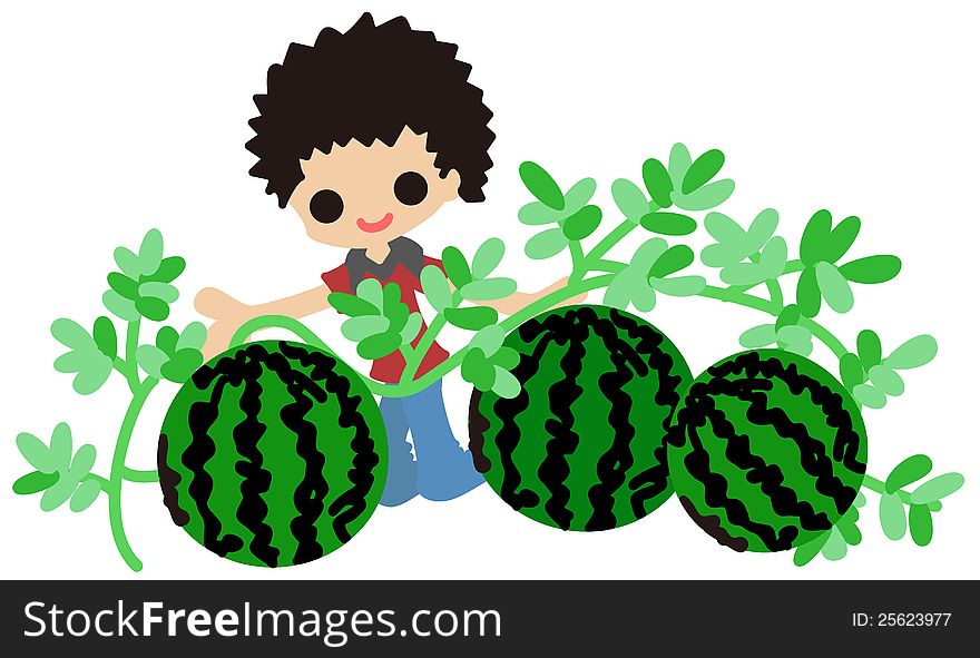A boy is cultivating watermelons for his home works of summer vacation.