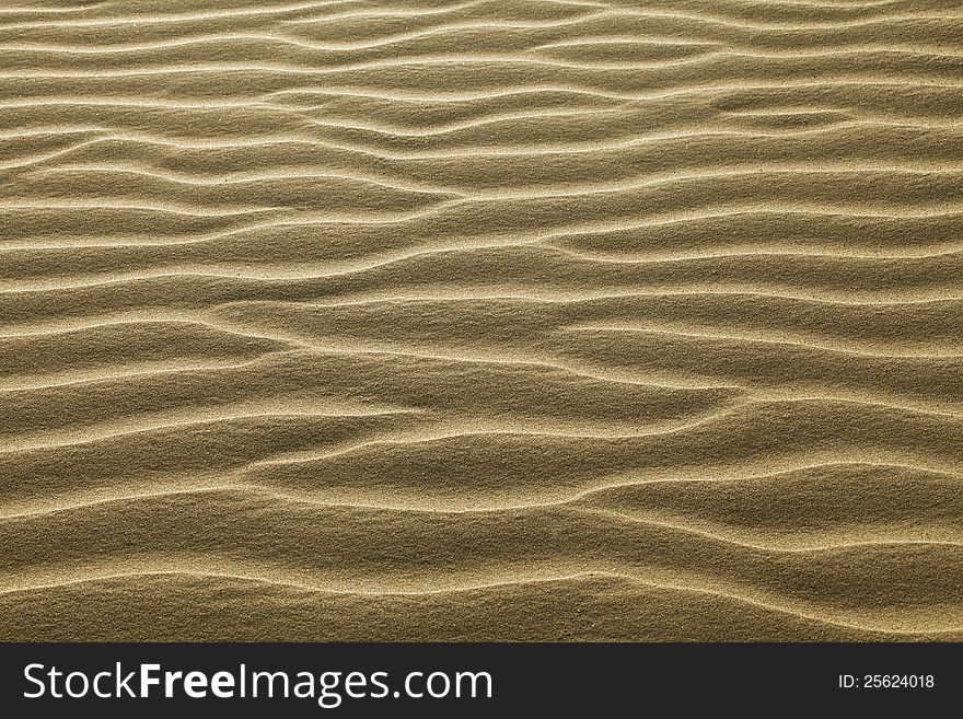 Texture of sand rippled with the wind. Texture of sand rippled with the wind