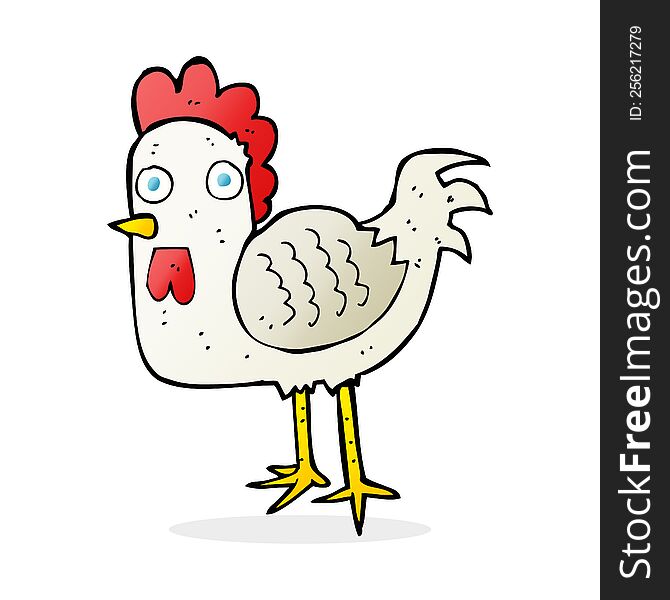 Cartoon Chicken