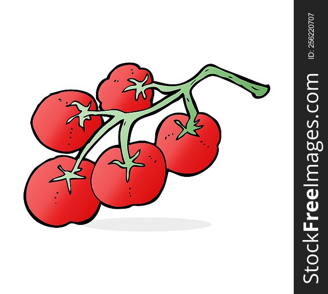 tomatoes on vine illustration