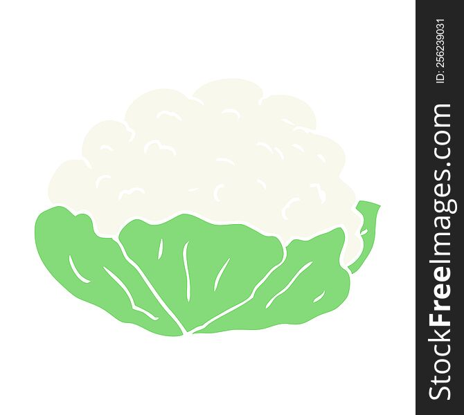 Flat Color Illustration Of A Cartoon Cauliflower