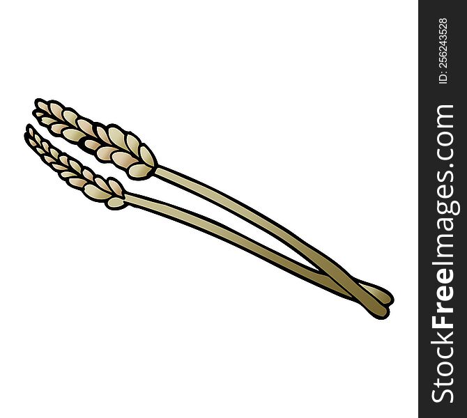 cartoon doodle wheat