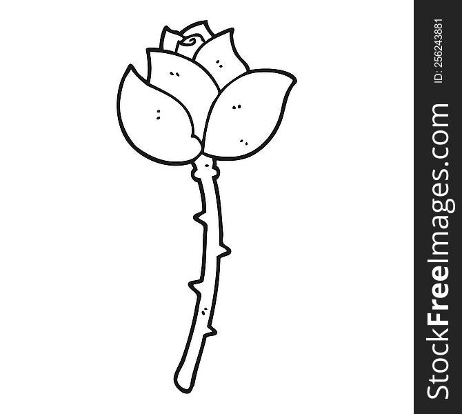 freehand drawn black and white cartoon rose