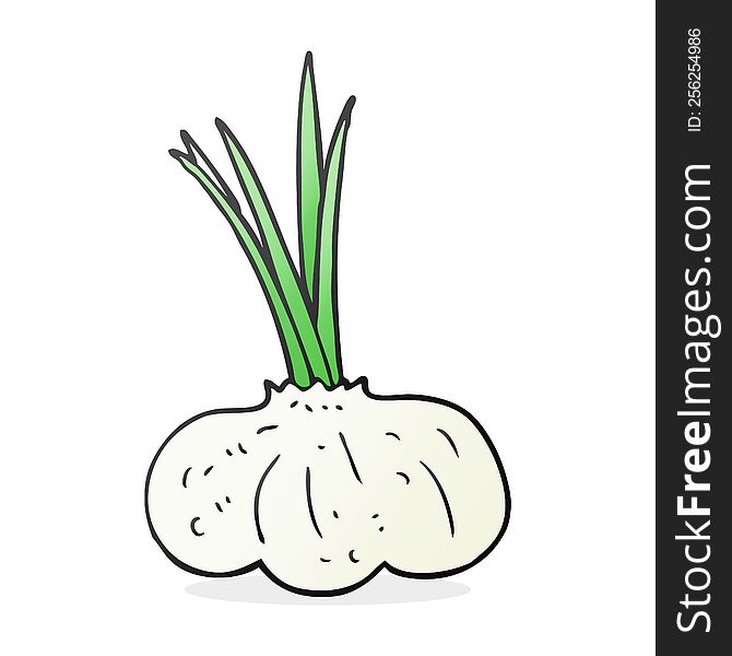 Cartoon Garlic Bulb