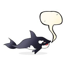 Cartoon Killer Whale With Speech Bubble Royalty Free Stock Photography