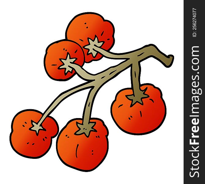 Cartoon Doodle Tomatoes On Vine