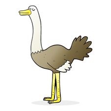 Cartoon Ostrich Royalty Free Stock Photography