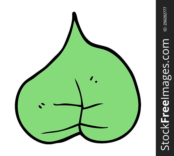 Cartoon Leaf