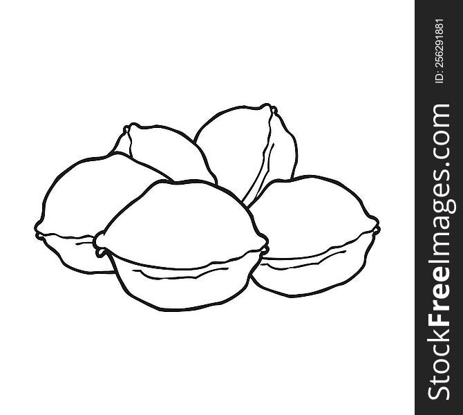 freehand drawn black and white cartoon walnuts in shell