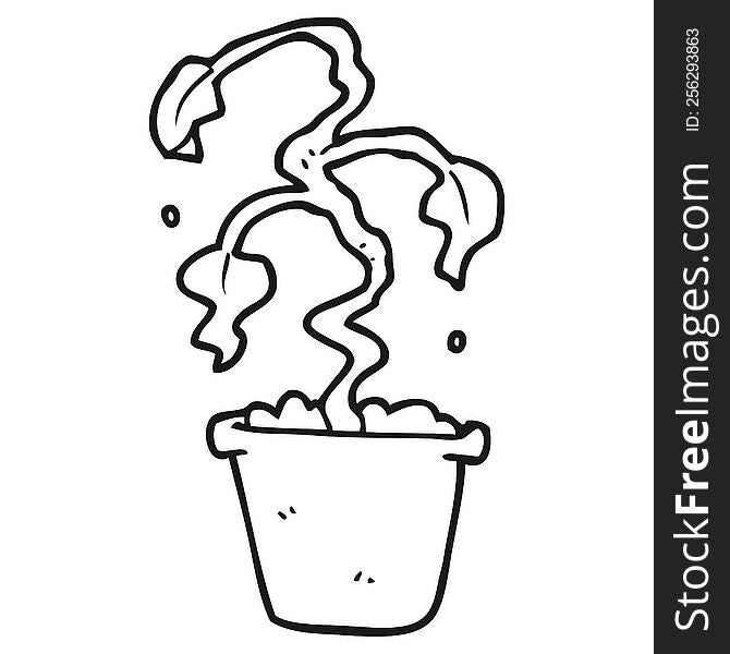 black and white cartoon dead houseplant