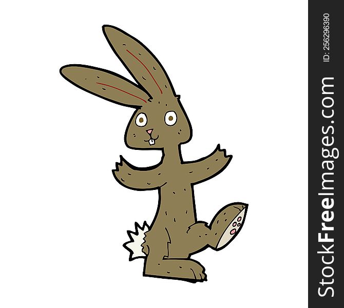 Cartoon Rabbit