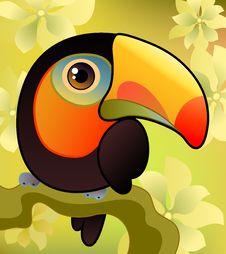 Toucan On The  Branch Stock Images