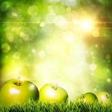 Fresh Tasty Apple On The Grass Stock Images Fresh Tasty Apple On The Grass Stock Images