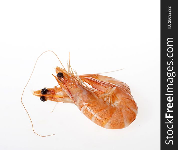 Shrimps close up on white background