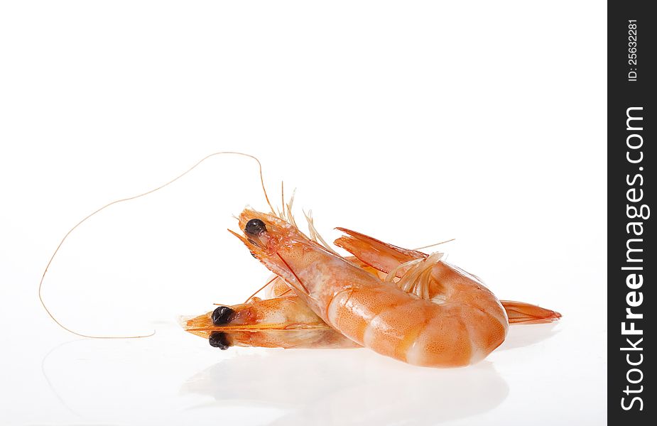 Shrimps close up on white background