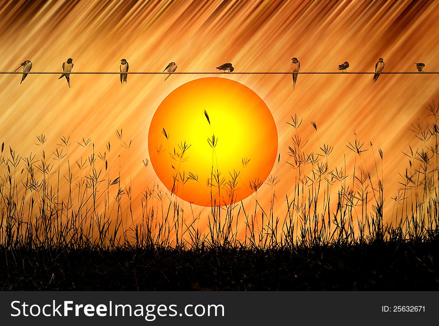 Sunset Background With Grasses And Swallows Was Generated Digitally