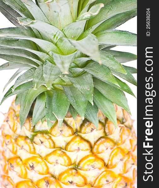 Tropical fruit. Pineapple