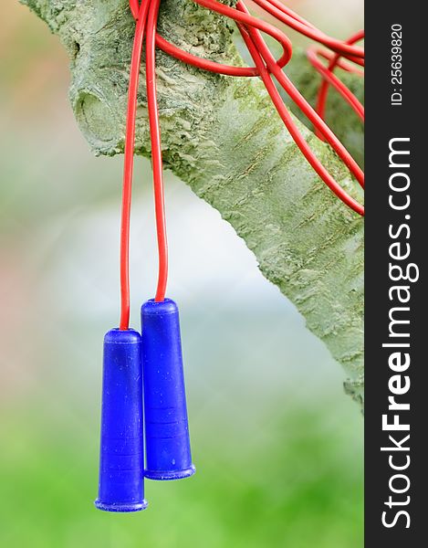 A plastic jump rope hanging on a tree in the garden. A plastic jump rope hanging on a tree in the garden