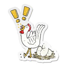 Distressed Sticker Of A Cartoon Chicken Laying Egg Royalty Free Stock Images