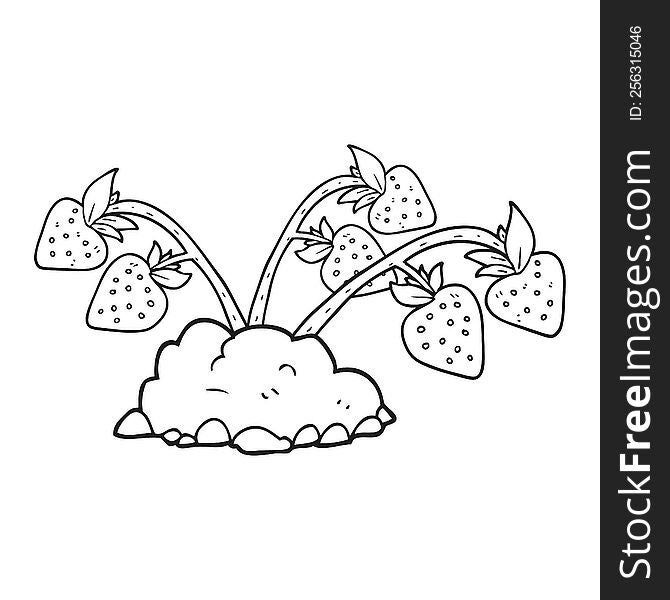 Black And White Cartoon Strawberries