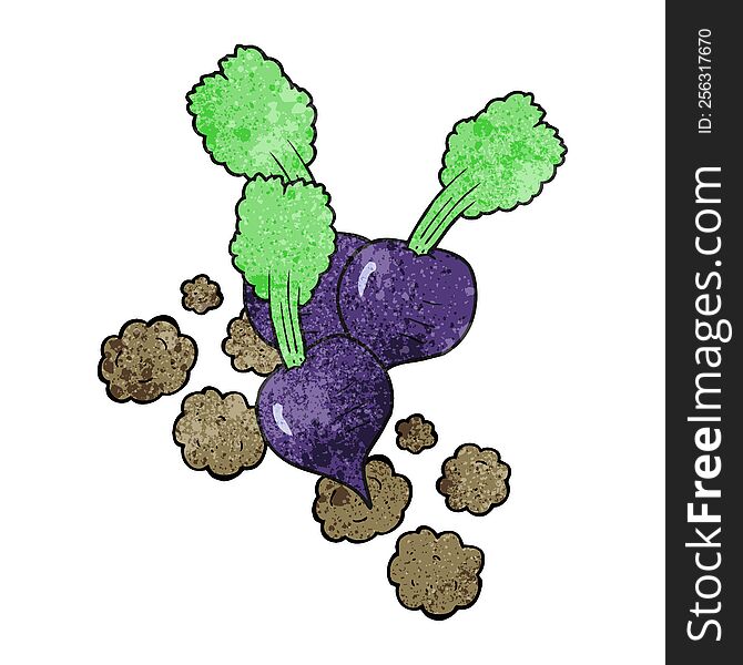 textured cartoon beetroot