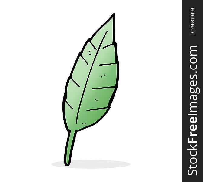 Cartoon Leaf