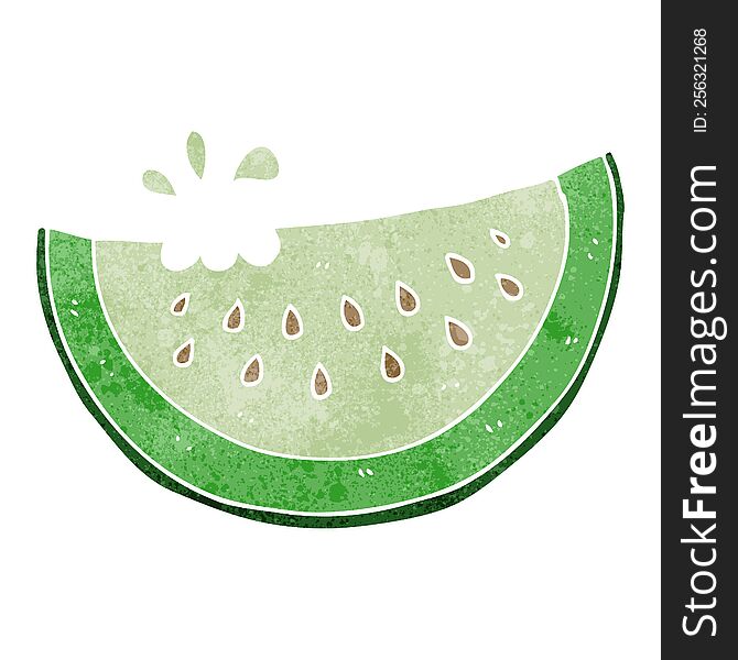 Retro Cartoon Melon Slice