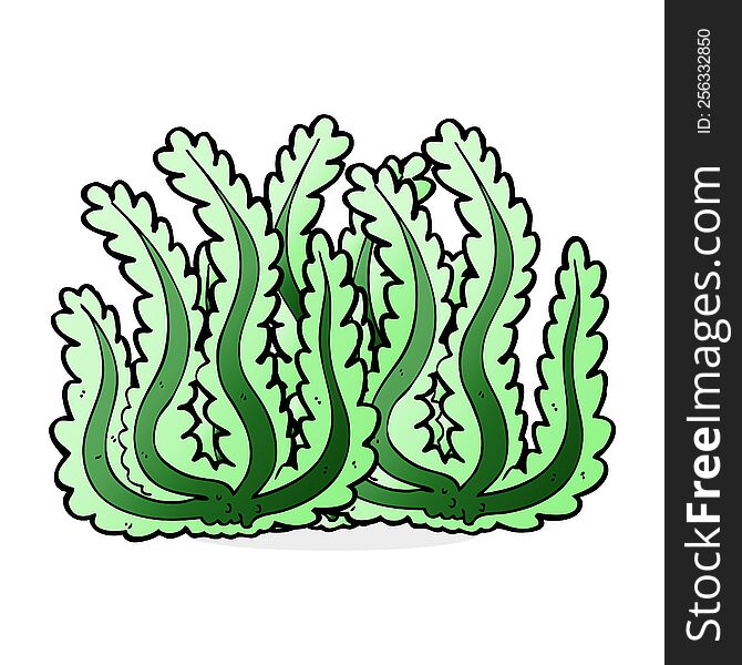 Cartoon Seaweed