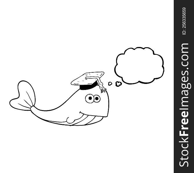 Thought Bubble Cartoon Whale Graduate