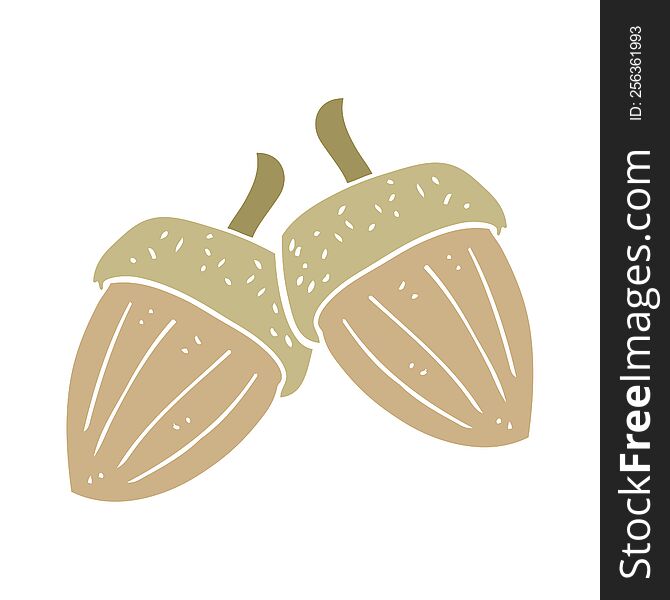 flat color illustration of acorns. flat color illustration of acorns