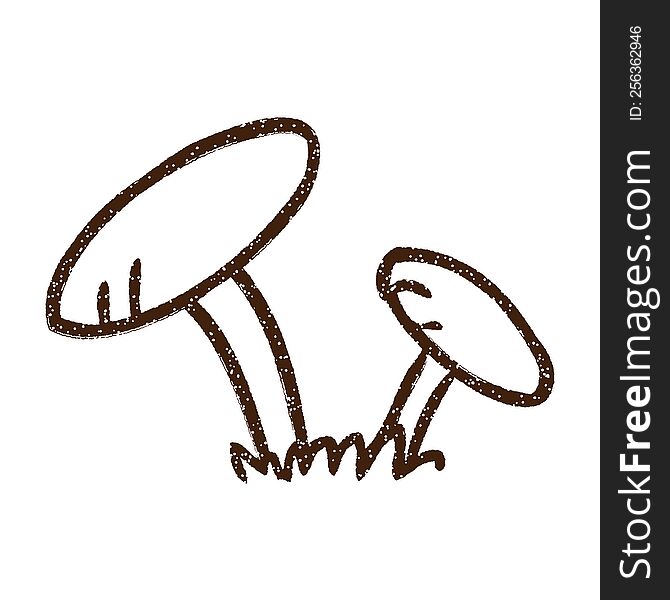 Mushrooms Charcoal Drawing