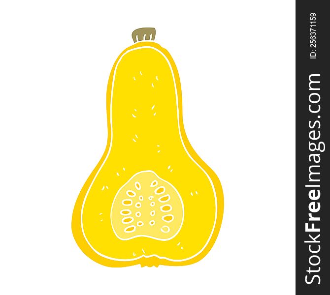 flat color illustration of butternut squash. flat color illustration of butternut squash