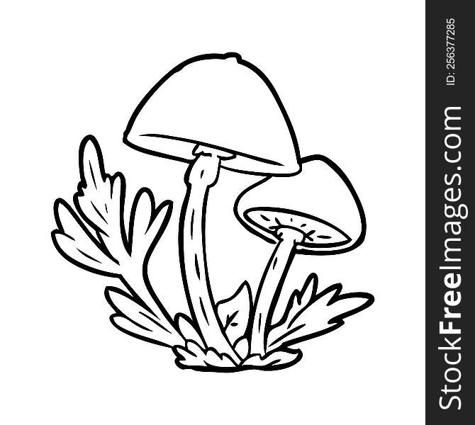 line drawing of a wild mushrooms. line drawing of a wild mushrooms