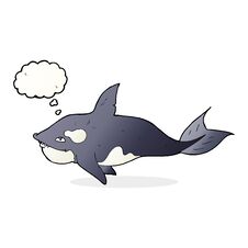 Cartoon Killer Whale With Thought Bubble Royalty Free Stock Image