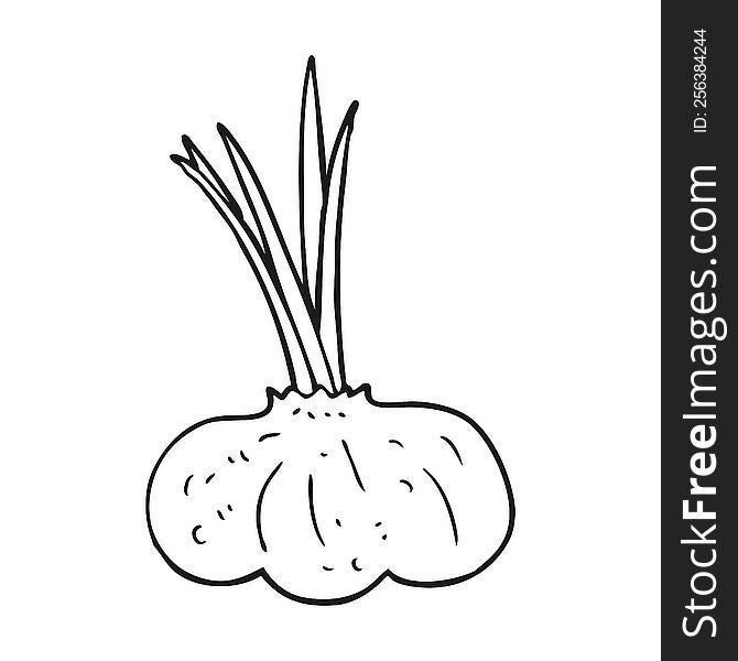 freehand drawn black and white cartoon garlic bulb