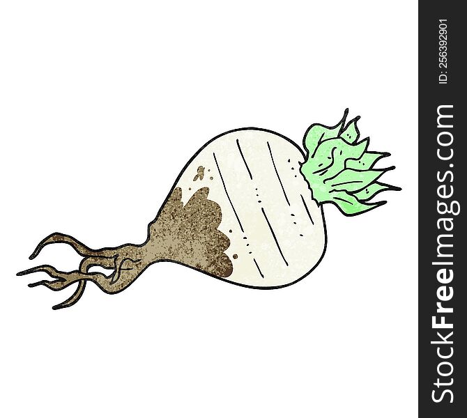 Texture Cartoon Turnip