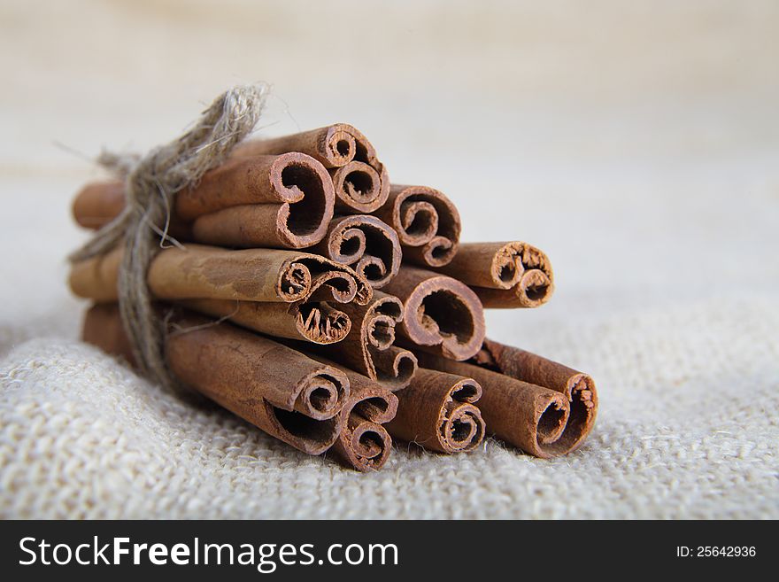 Closeup of cinnamon sticks on cotton canvas