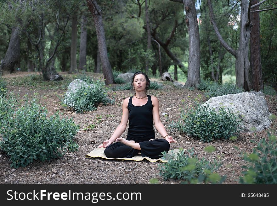 Yoga In Forest