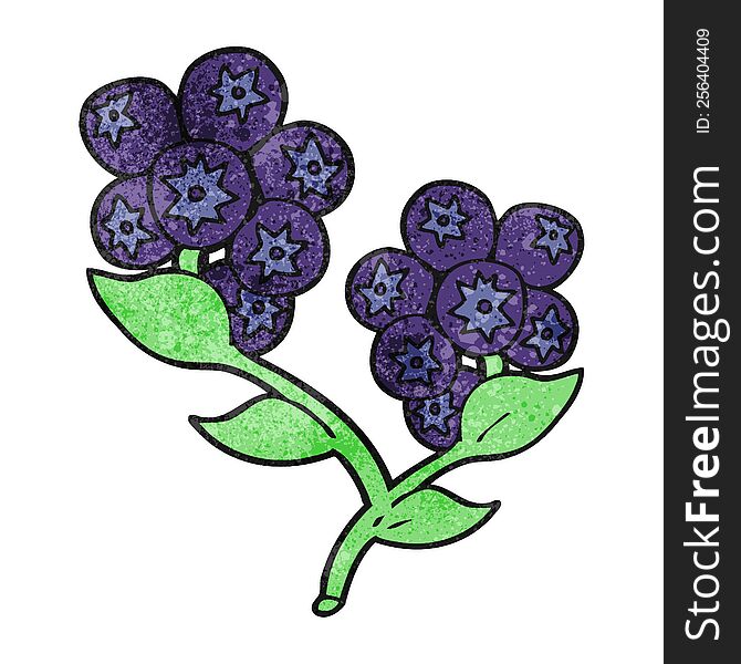 Textured Cartoon Blueberries